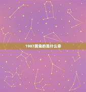 1987属兔的是什么命，87年属兔的做什么生意最旺