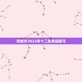 宋韶光2022年十二生肖运程马，2022 年生肖运势