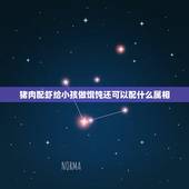 猪肉配虾给小孩做馄饨还可以配什么属相，用鲜虾包混沌放什么菜好