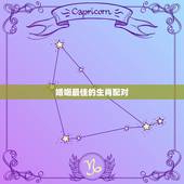 婚姻最佳的生肖配对，十二生肖婚姻配对