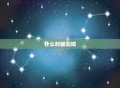 什么时候动婚，什么时候动婚
