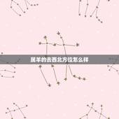 属羊的去西北方位怎么样，子时出生属羊女适合在北方吗