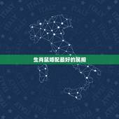 生肖鼠婚配最好的属相，与属鼠相配的属相有哪些？