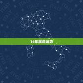 16年属虎运势，2o16年属虎人的运程