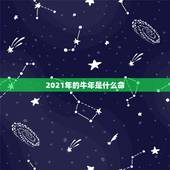 2021年的牛年是什么命，2021牛年是什么年？