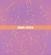 属鼠的人的命运，72年出生属鼠人的命运