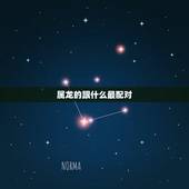 属龙的跟什么最配对，属龙婚姻配对
