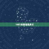 1987年属兔是多大，1983年属猪生辰八字