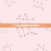 十二生肖姻缘配对生肖配对，十二生肖配对姻缘