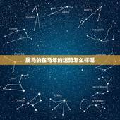 属马的在马年的运势怎么样呢，属马在虎年的运势，烦请大师给予启示！谢谢~