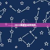 2022属猴的运势如何，属猴今年运势2021年运势