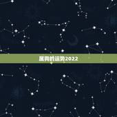 属狗的运势2022，2022年12生肖运势解析