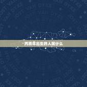 丙辰年出生的人属什么，丙辰年是什么龙