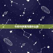 今年43岁属马是什么命，丑牛年2022 三大预言