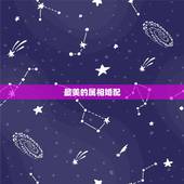 最美的属相婚配，十二生肖中最美丽的动物是什么