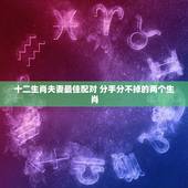 十二生肖夫妻最佳配对 分手分不掉的两个生肖