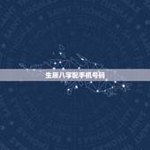 生辰八字配手机号码，根据生辰八字用手机号码