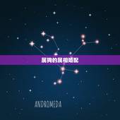 属狗的属相婚配，属狗人的婚配适合什么属相