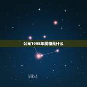 公元1998年属相是什么，1998年生的人在五行里属什么