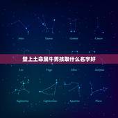 壁上土命属牛男孩取什么名字好，好听的男孩小名