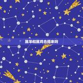 属羊和属鸡合得来吗，马和什么生肖合得来