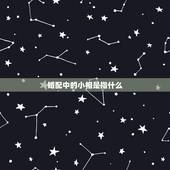 婚配中的小相是指什么，属相婚配 八字合婚 请高人