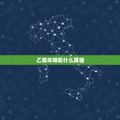 乙酉年婚配什么属相，2005年属什么生肖