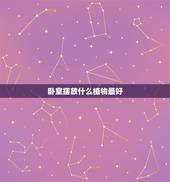 卧室摆放什么植物最好，请问，在卧室里放什么植物好啊