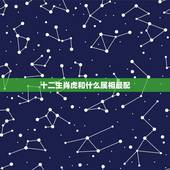 十二生肖虎和什么属相最配，属马和属马的相配吗
