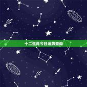 十二生肖今日运势查询，12生肖每日每月运势查询