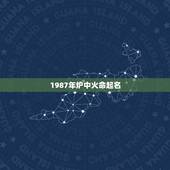 1987年炉中火命起名，属兔火命适合什么名字