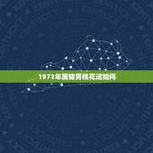 1971年属猪男桃花运如何，71年属猪的命中再婚