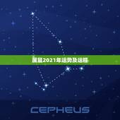 属鼠2021年运势及运程，属鼠人2021年全年运势详解