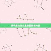 狮子座和什么星座最配做夫妻，狮子座与什么星座最配