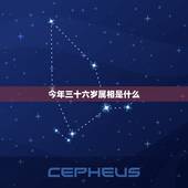 今年三十六岁属相是什么，三十六岁属什么生肖