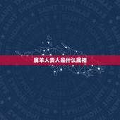 属羊人贵人是什么属相，天珠佩戴禁忌与属相