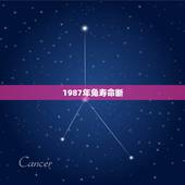 1987年兔寿命断，87年兔女惨淡的命运