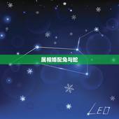 属相婚配兔与蛇，属相婚配蛇与兔子合吗？