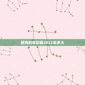 属狗的年龄表2022年多大，年龄计算器在线计算