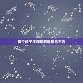 两个孩子牛和蛇的属相合不合，属牛的跟属蛇的配吗？