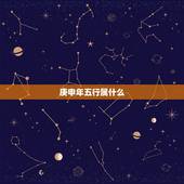 庚申年五行属什么，1980年属猴五行缺什么