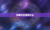 刘耀文正缘姓什么，刘耀文喜欢的女生类型