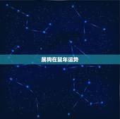 属狗在鼠年运势，狗年鼠年的运气如何