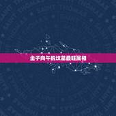 坐子向午的坟墓最旺属相，坐子向午的屋宅与风水