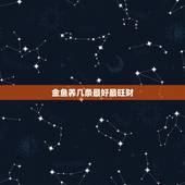 金鱼养几条最好最旺财，金鱼一般养几条最旺财运