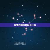 男兔的最佳婚配是什么，属兔的今年最佳配偶属什么