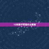 12时辰子时是什么属相，12时辰各属什么