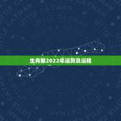 生肖猴2022年运势及运程，1980年属猴男2021年运势及运程