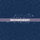 跟属马的相配的属相更好，属马的和什么的在一起好