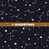 适合摆放客厅的植物，适合摆放在客厅的植物都有什么？
